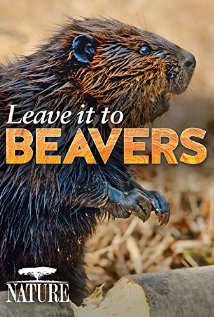 Nature: Leave it to beavers DVD