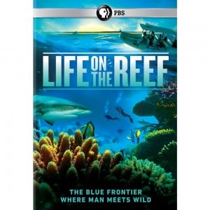 Life on the Reef PBS DVD