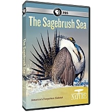 The Sagebrush Sea PBS Nature DVD
