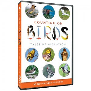 Counting on Birds: Tales of Migration