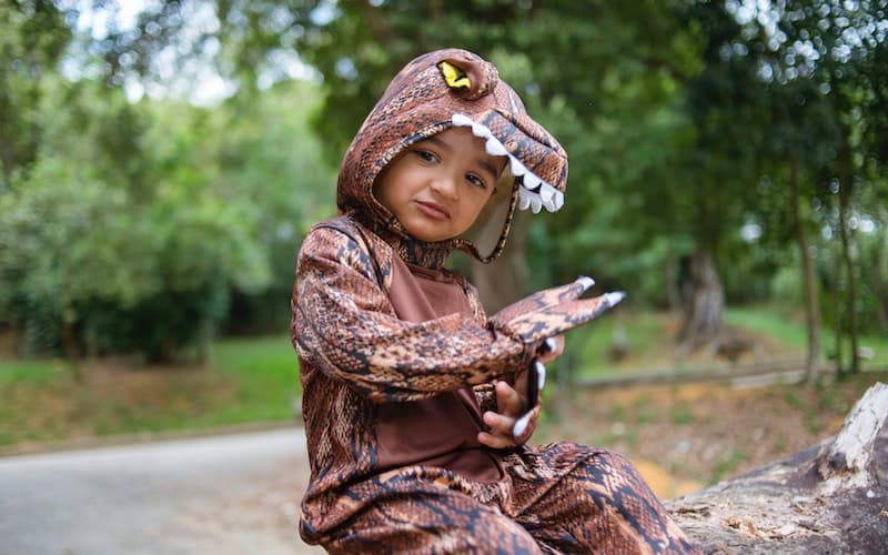 boy dressed up in a dinosaur costume