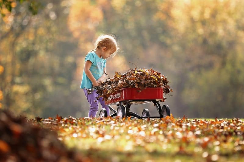 child piling leaves in a wagon