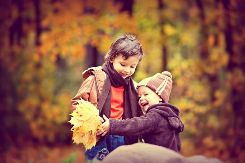 11 Books About Fall for Your Toddler to Enjoy