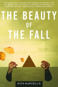 The Beauty of the Fall is an interesting read about a man who had everything he wanted in life, slowly lost it all and needed to change his focus to recover. It's very similar to the way the world really is which made it easy to identify with. I also love that the author wove in pieces of the real world into the story - like the economic issues in Detroit and struggles some families experience trying to make it on a limited income. If you enjoy stories with a lesson that make you think, I'd recommend The Beauty of the Fall.