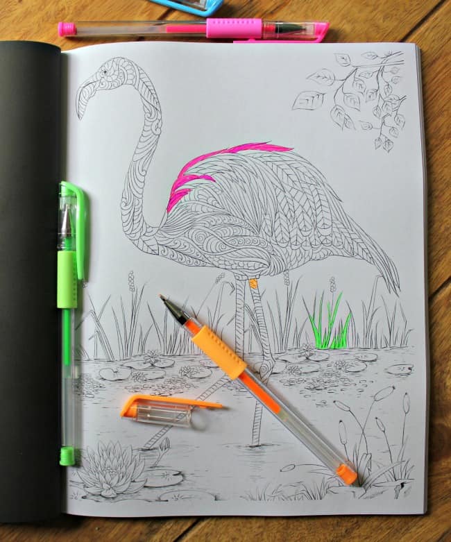 Animal Coloring Book for Adults by Nathaniel Wake