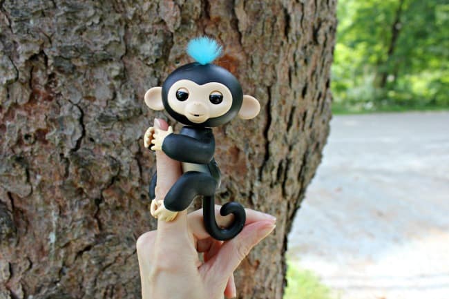 Fingerlings Baby Monkey to Benefit Animal Conservation