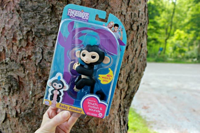 Fingerlings Baby Monkey to Benefit Animal Conservation