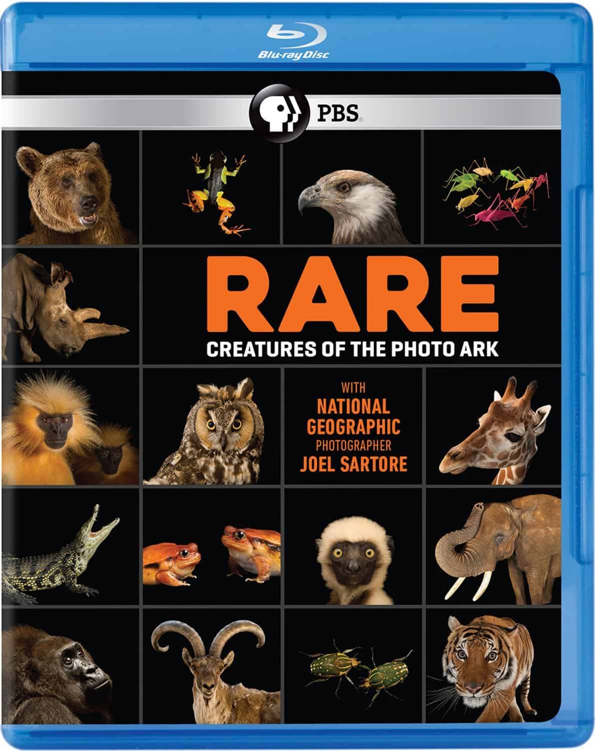 Rare Creatures of the Photo Ark by PBS