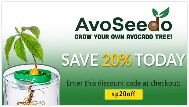 20% off AvoSeedo Grow Your Own Avocado Tree At Home