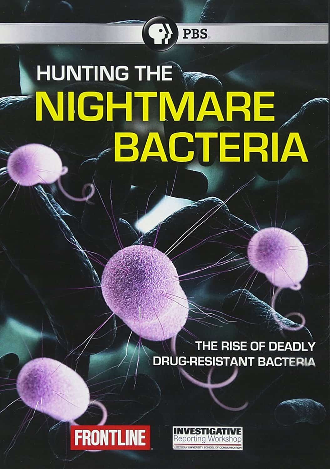 Hunting the Nightmare Bacteria by PBS on DVD