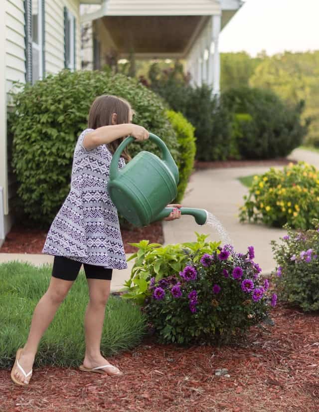 How to Create a Back Yard You and Your Kids Will Love