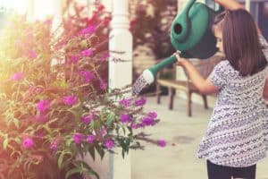 Ways Kids Can Go Green Today to Help Conserve - In Our Spare Time