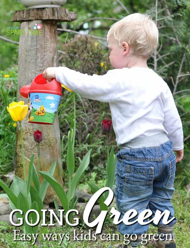 Ways Kids Can Go Green Today to Help Conserve