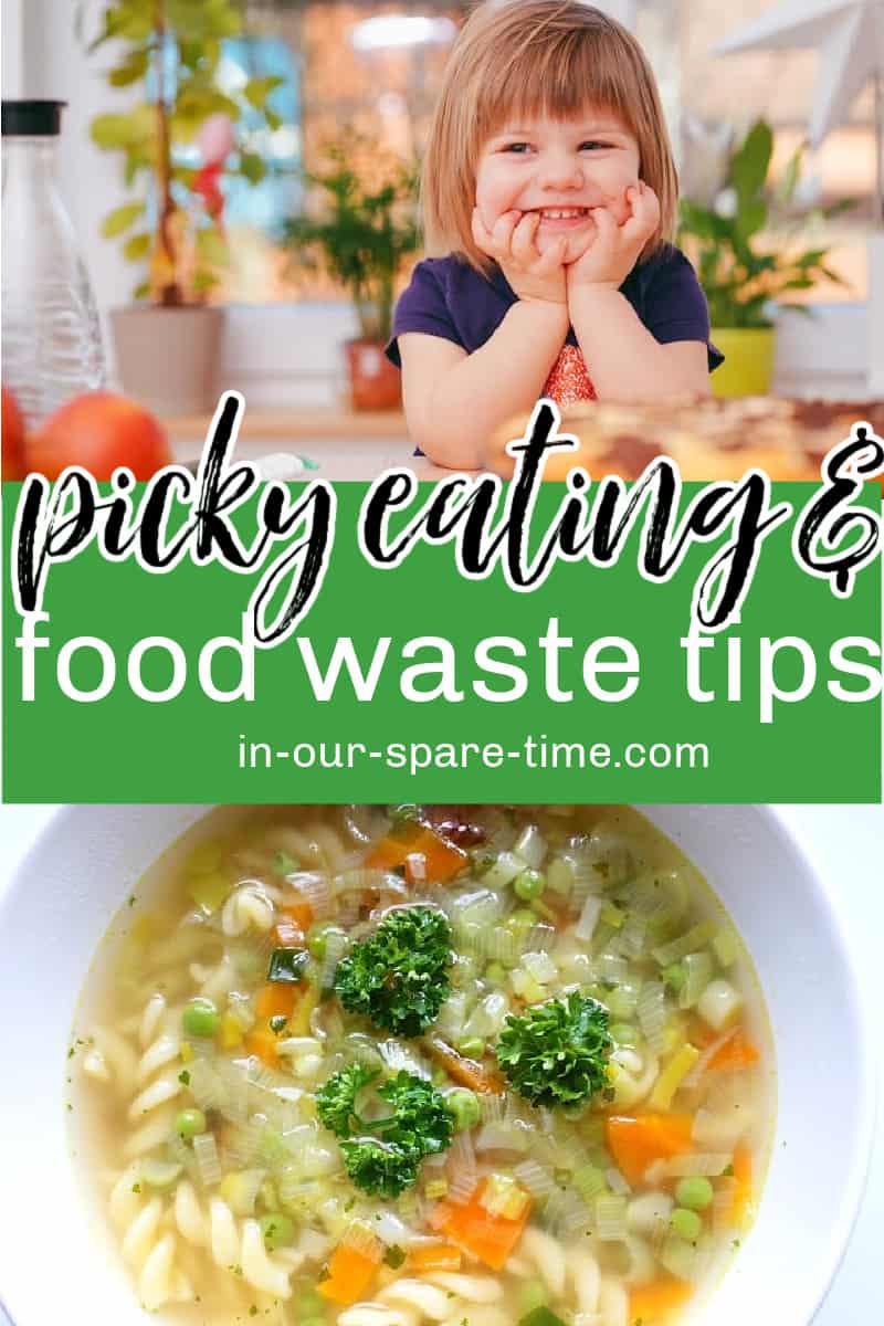 Are you wondering how to reduce food waste due to picky eaters? Check out these tips parents can use to make mealtime easier. 