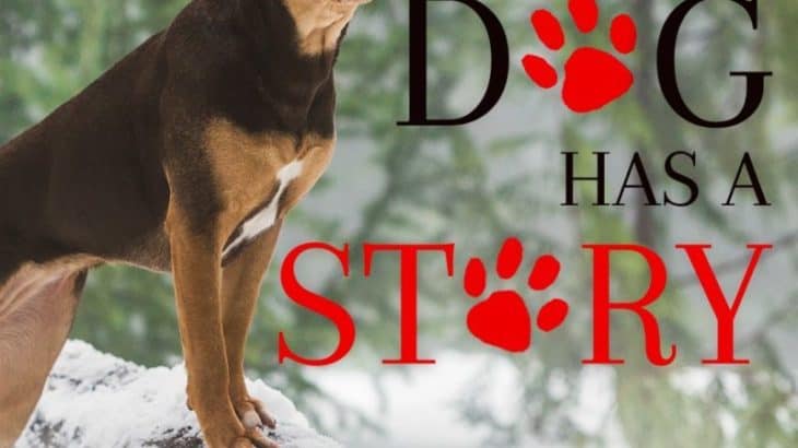 A Dog's Way Home in Theaters on January 11
