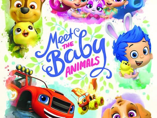 Meet the Baby Animals is Now Available on DVD