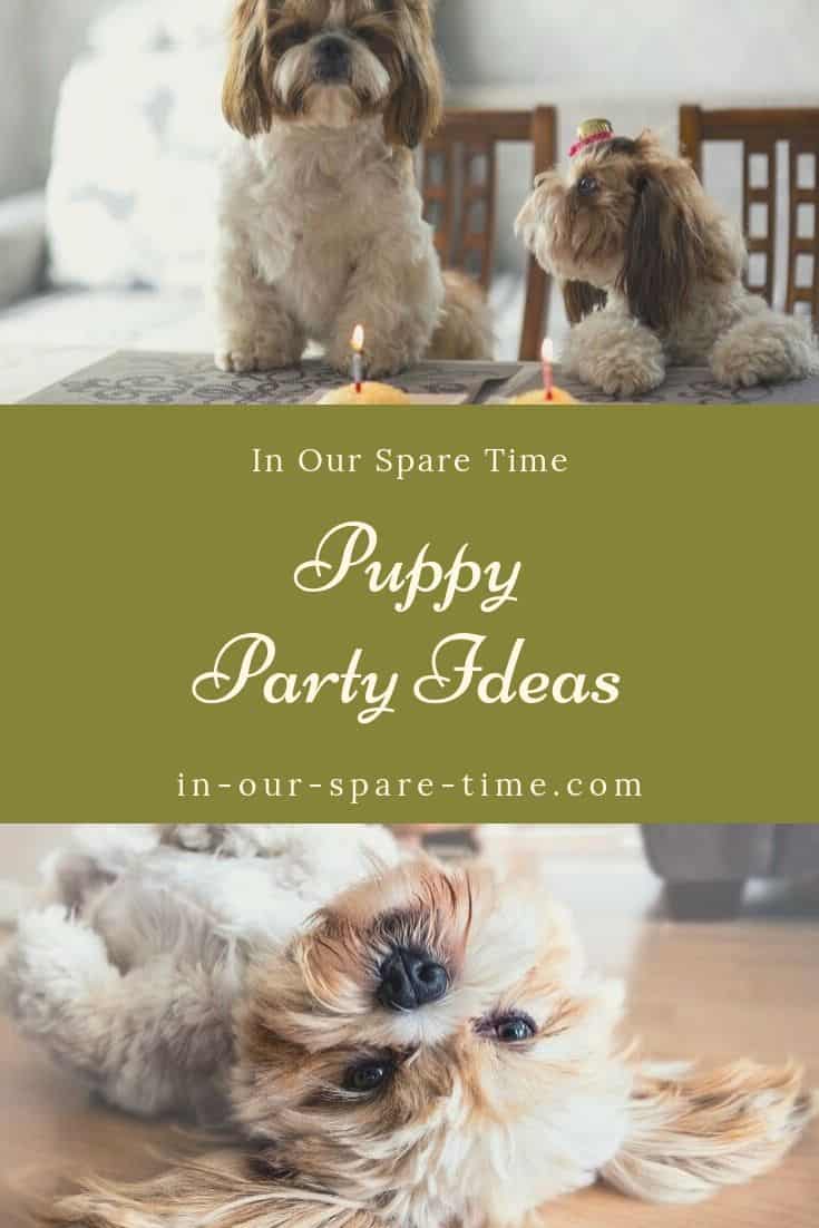How do you throw a puppy birthday party? Check out these fun puppy party ideas and get a pupcake recipe for your pet to enjoy. #puppy #puppyparty #dogparty #dogs