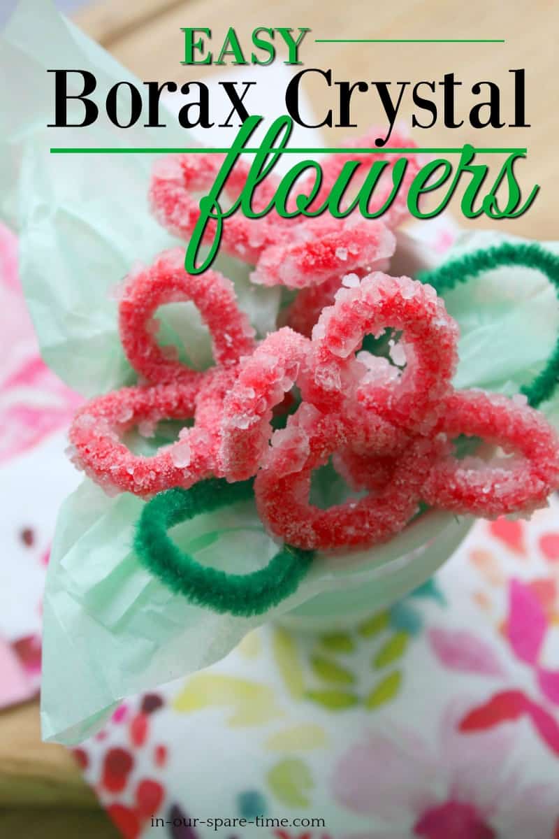Borax Crafts: Making Borax Crystal Flowers - In Our Spare Time