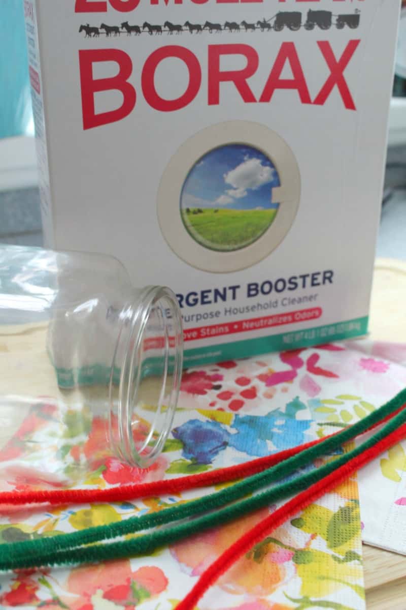 a box of Borax, a jar, and pipe cleaners