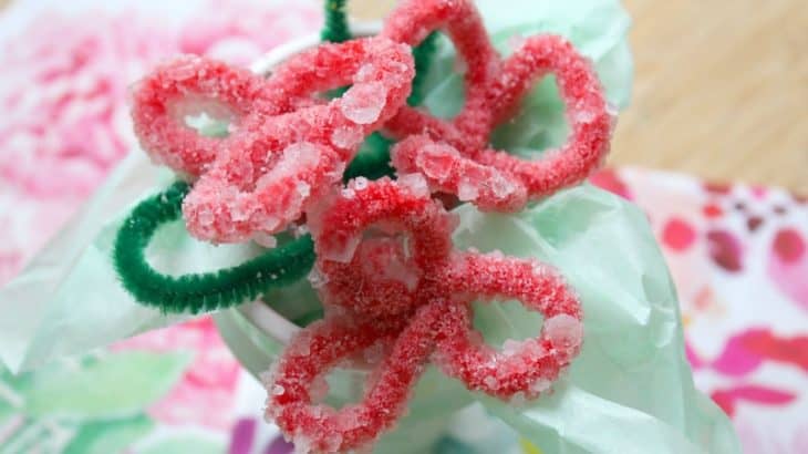Borax Crafts: Making Borax Crystal Flowers