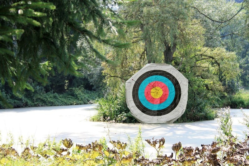 a target for arrows in front of a tree