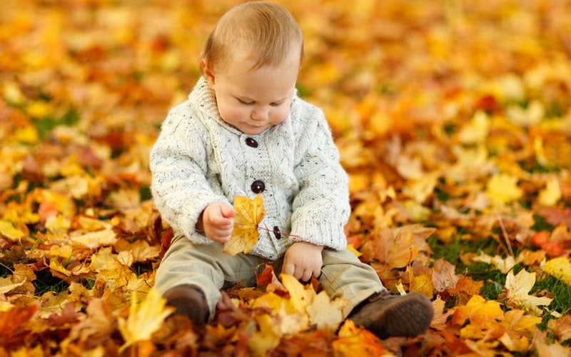 a child sitting in brightly colored orange and yellow leaves