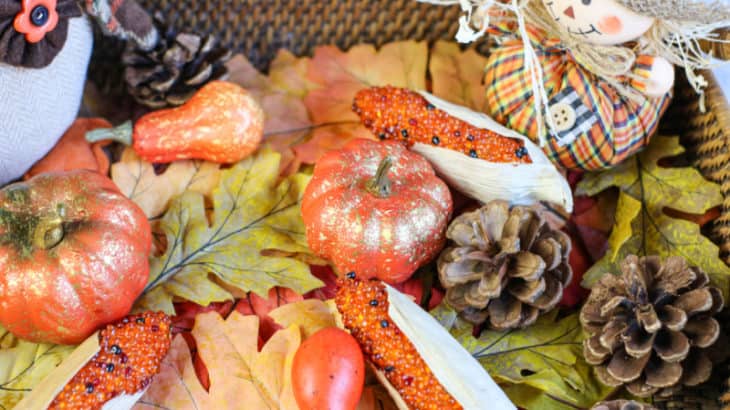 pumpkins, leaves, and pinecones in a fall sensory bin