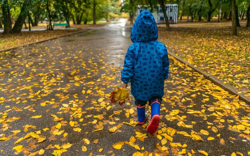 a child walking picking up leaves