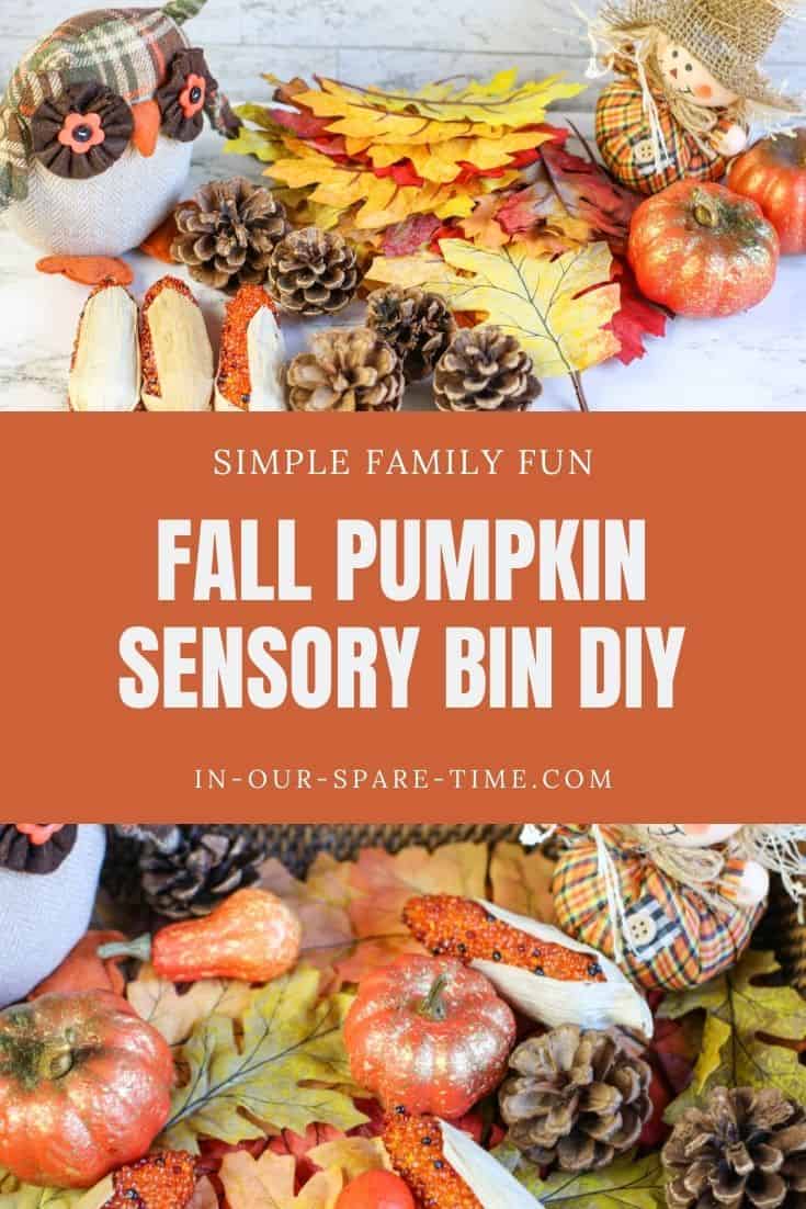 Looking for pumpkin activities for toddlers? Make a fall sensory bin and let them learn about the different textures and shapes of autumn.