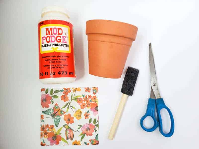 flower pot and mod podge supplies on a white background