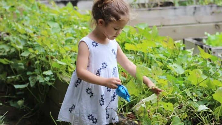 a little girl in the garden