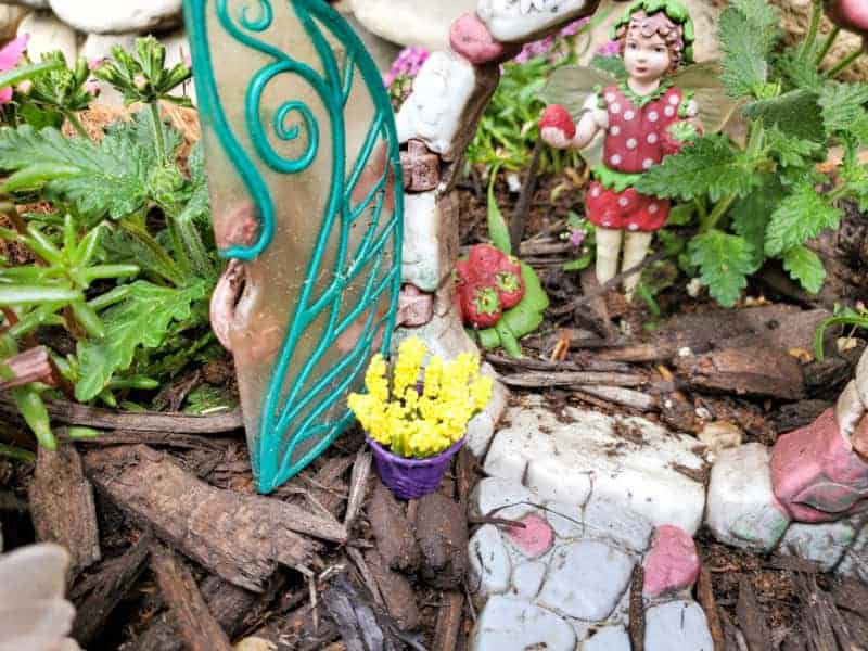 Check out these easy DIY fairy garden pots ideas for the kids to make. Learn more about how to make a DIY mini fairy garden of your own.