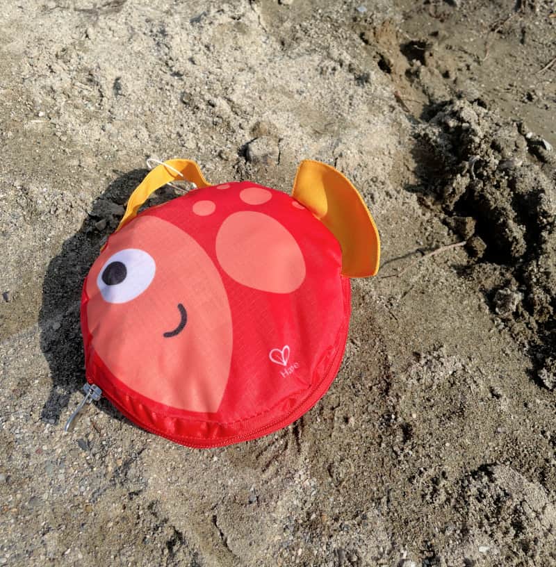 a fish carrying case that holds sand toys