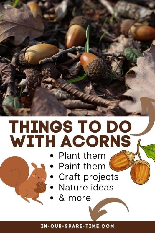 Looking for things to do with acorns? It's a pain to find fun and easy acorn crafts for kids so I gathered some of them right in one place to make it easier.