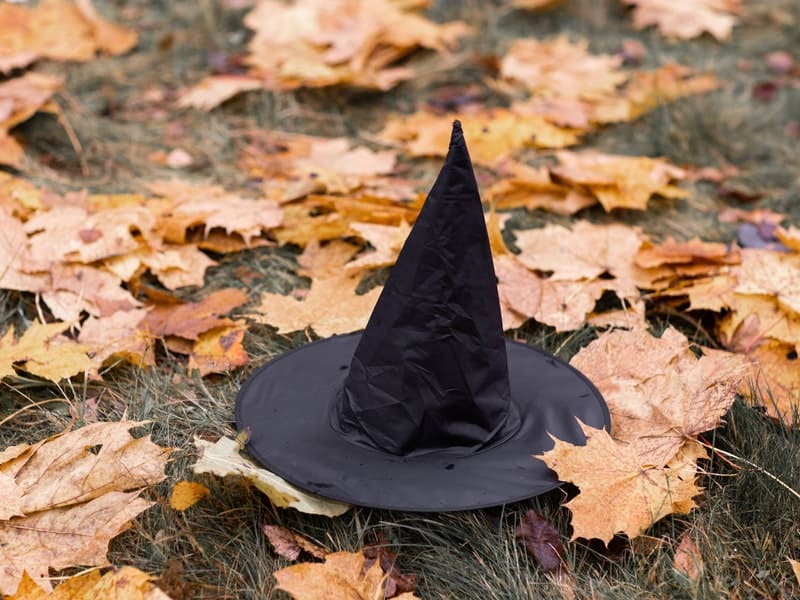 a witch's hat sitting on the ground in the leaves