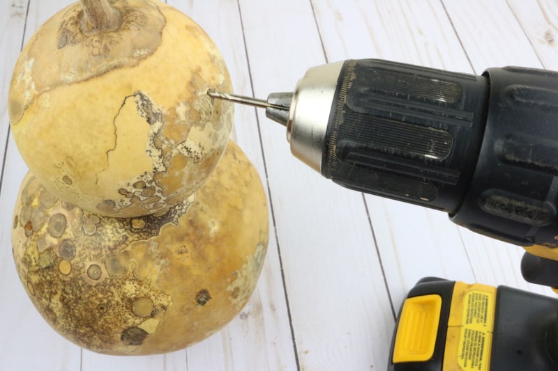 a drill in a gourd making a hole