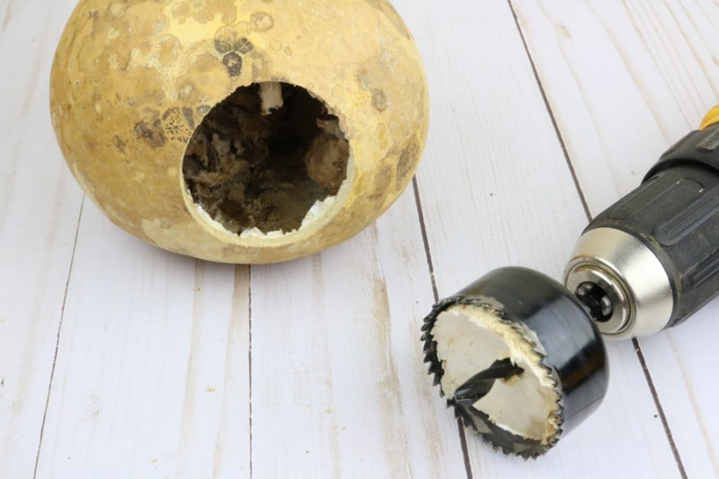 a gourd with a large hole
