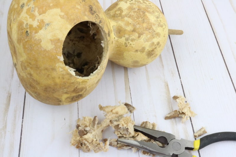 removing seeds from a gourd
