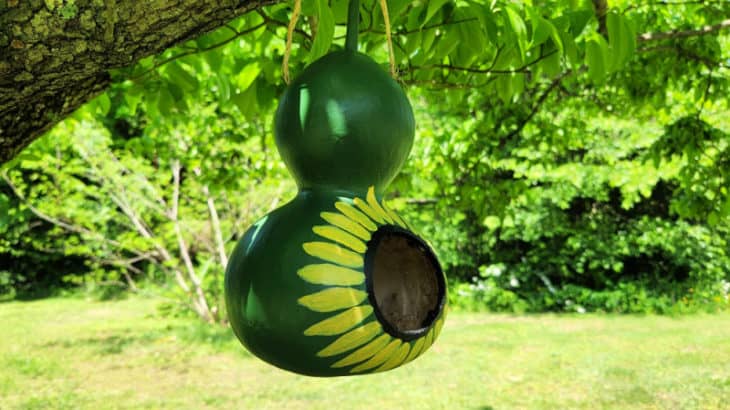 Check out this gourd bird feeder! Learn how to make a gourd birdhouse and bird feeder with the kids to feed the birds.