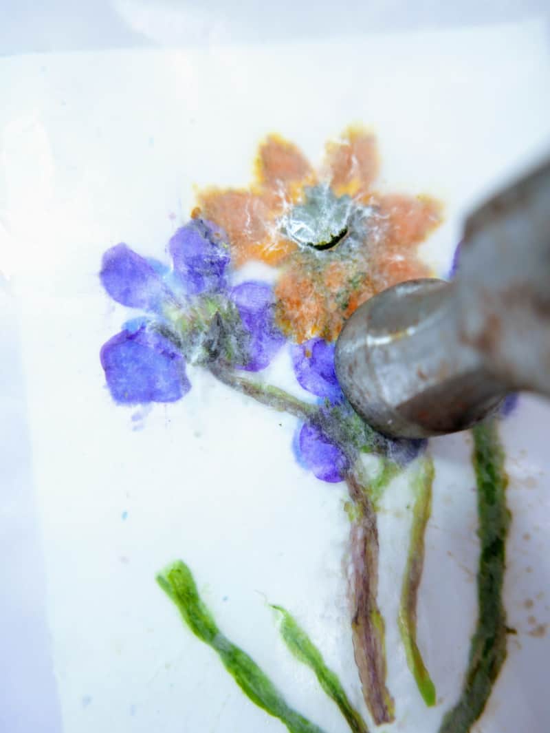 hammering blue and orange flowers