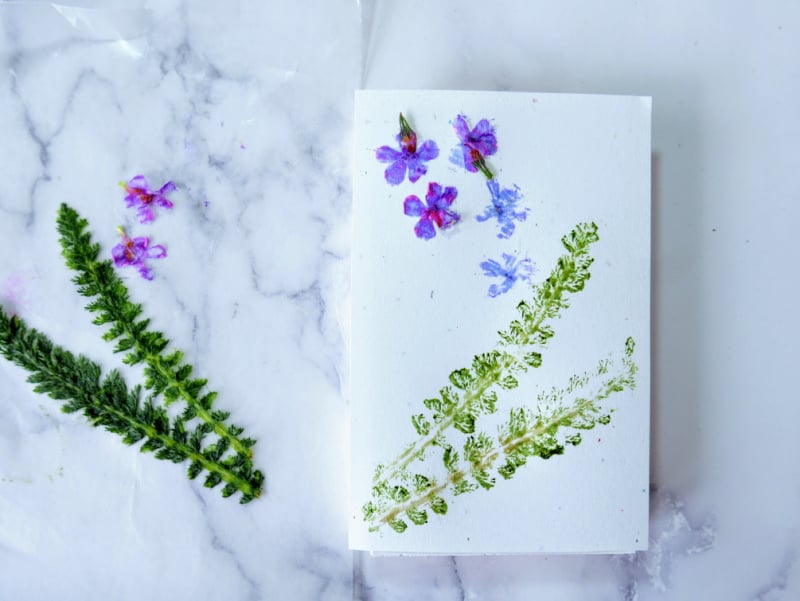 purple and green hammered plants on a white card
