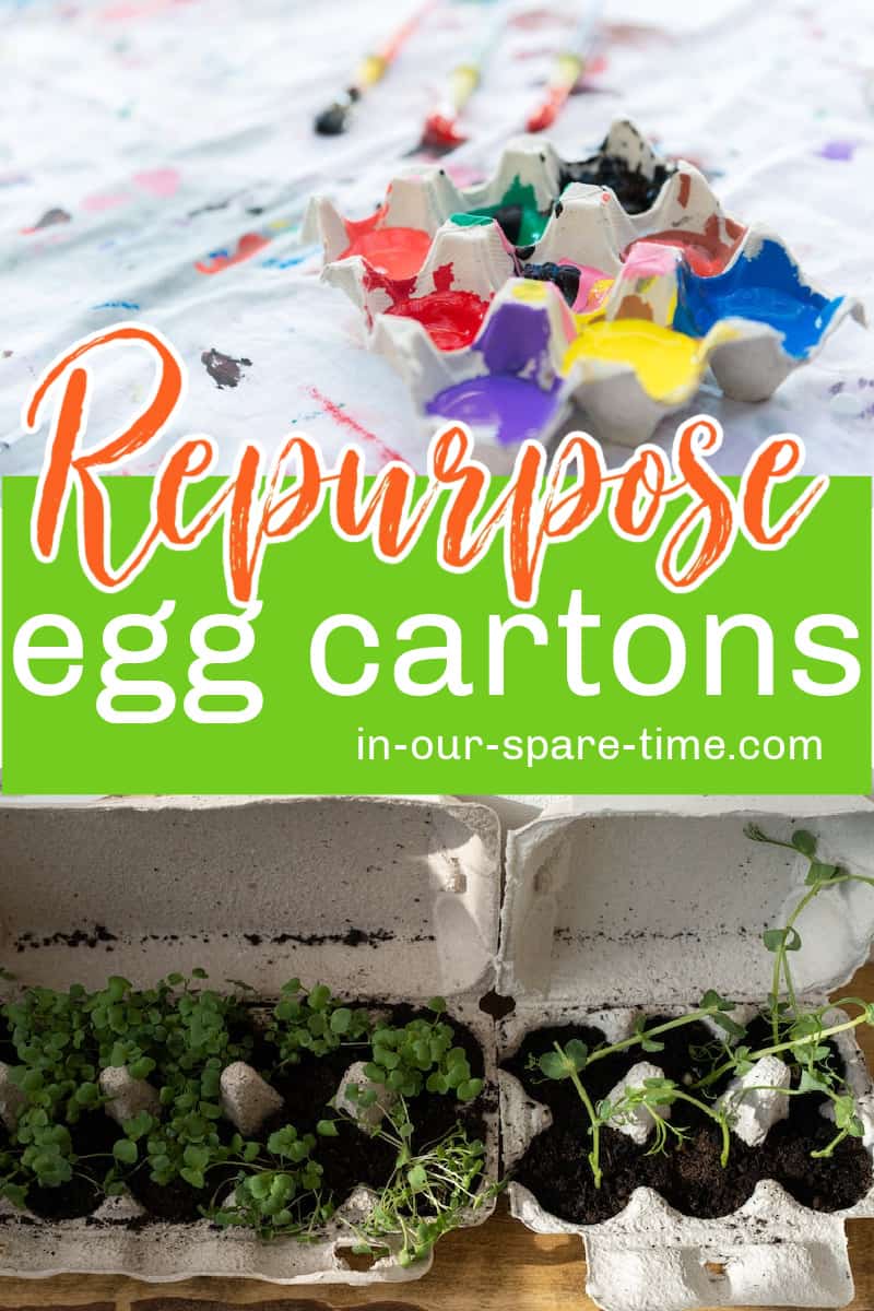Are egg cartons recyclable? Check out these simple tips to repurpose egg cartons in a variety of different ways.