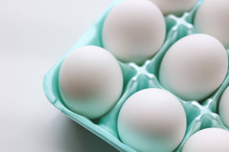 a styrofoam egg carton