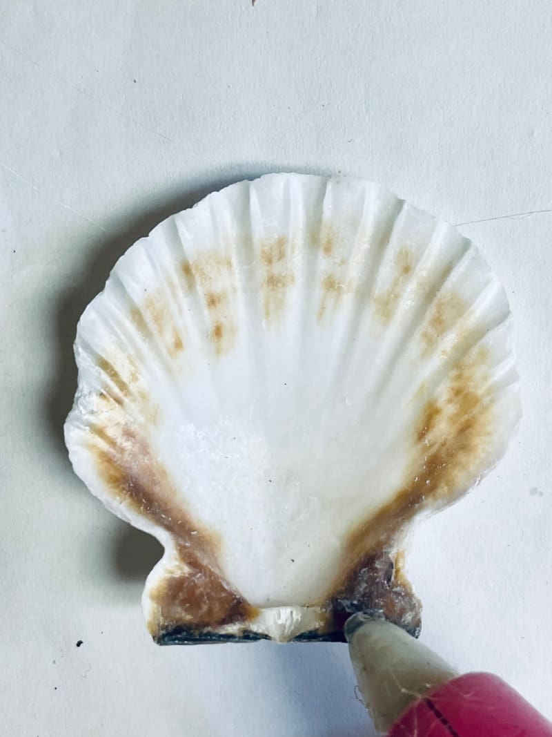 putting hot glue on a shell