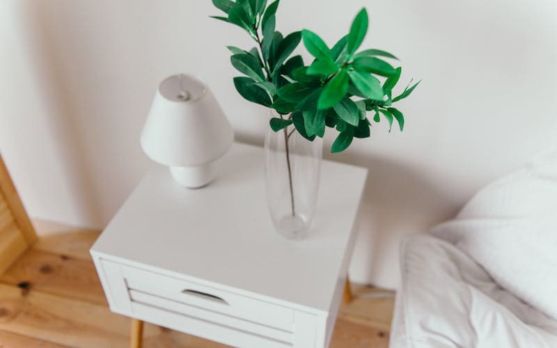 bedside table with lamp and plant