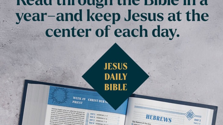 The CSB Jesus Daily Bible features a 52-week guided reading plan that shows Jesus throughout all of Scripture. Find out more.