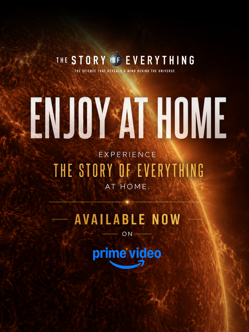 Story of Everything