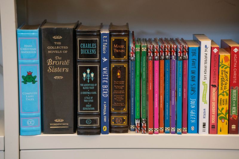 book shelf with books